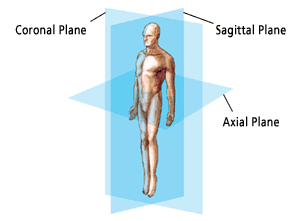 anatomic_planes_illus006.png